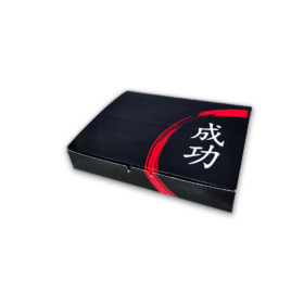 Embalagem para Combinados sem Visor G – 18 x 15 x 4 cm - 100 Unidades