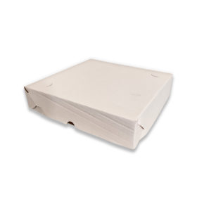 Caixa para Salgados DSTF 01 - 25 x 25 x 5 cm - 20 Unidades