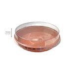 Embalagem Forneável Pie 180 - Ø 18 x 3 cm - 50 Unidades - Imagem 3