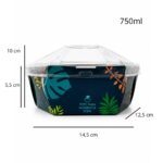 Kit Bowl Gourmet 750 ml Creme   – 14,5 x 12,5 x 10 cm – 100 Unidades - - Imagem 3